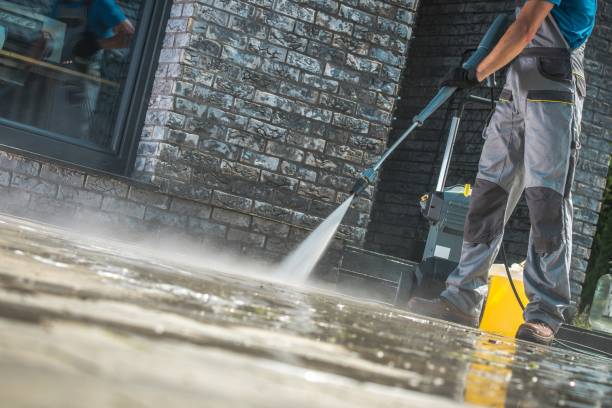 Animal Enclosure Cleaning in Dyersburg, TN