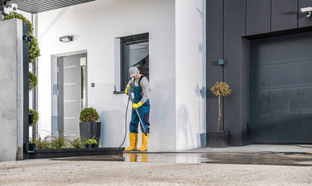 Best Sidewalk and Walkway Cleaning  in Dyersburg, TN