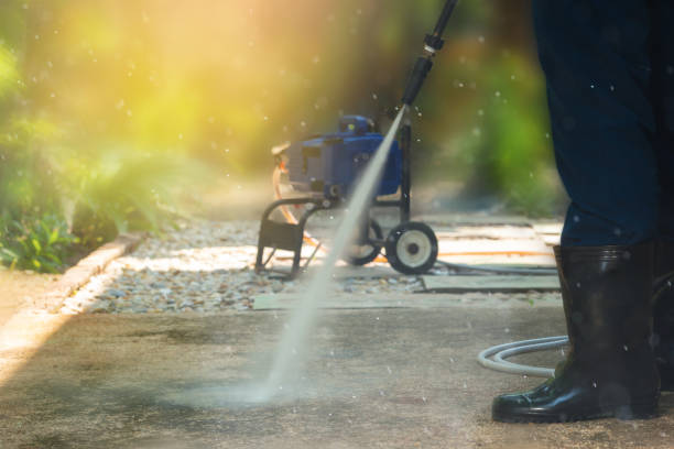 Best Driveway Pressure Washing  in Dyersburg, TN